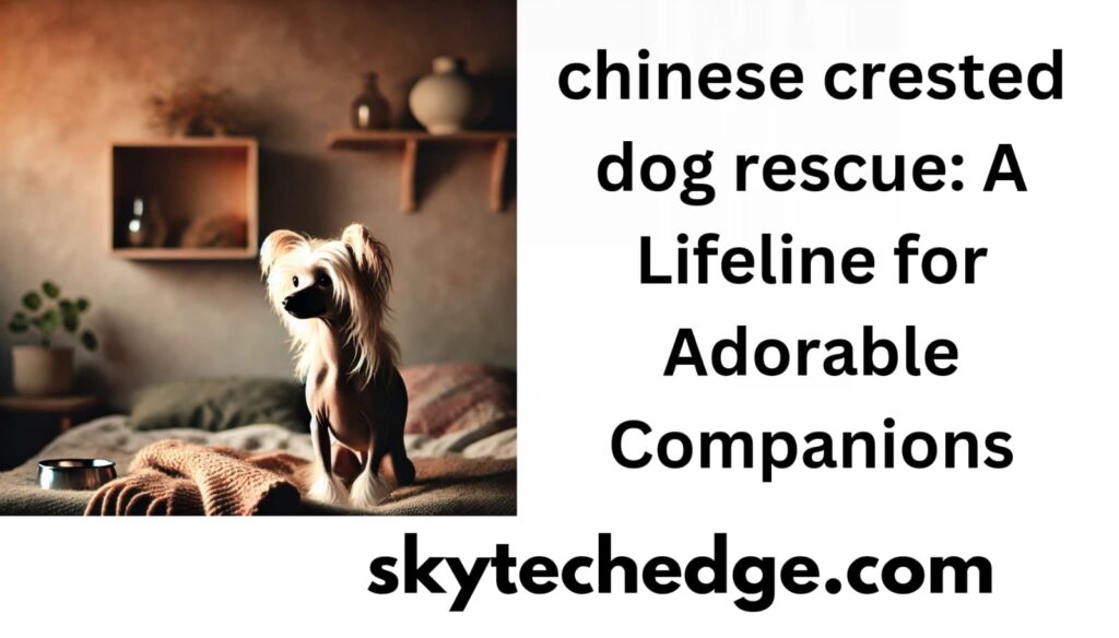 chinese crested dog rescue